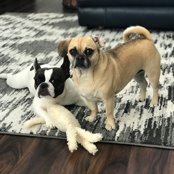 Happy Fall! - Picture 2 of 6